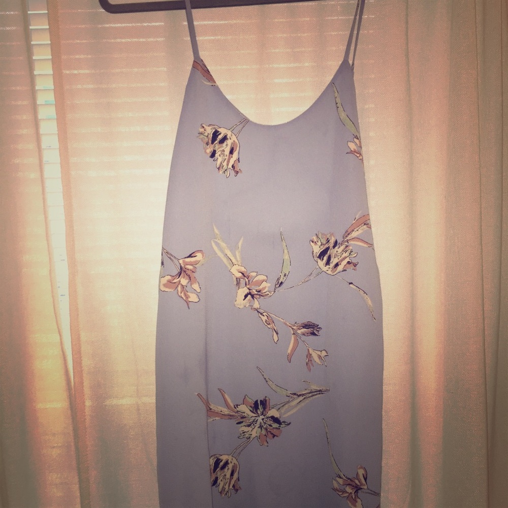 Lizard Thicket Purple Slip Dress
